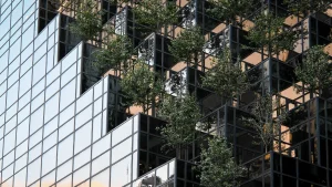 Arquitetura sustentável: pequenas escolhas, grandes impactos
